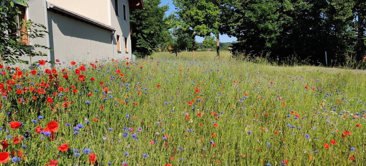 Ferienwohnung Ponlach Tittmoning Εξωτερικό φωτογραφία